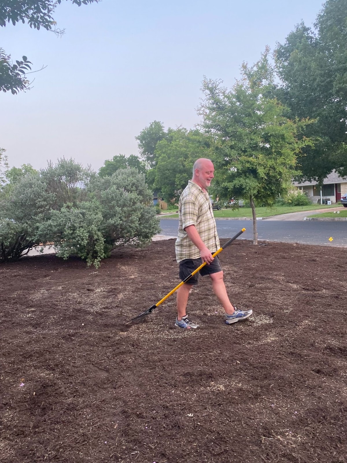 raking out the mulch for the front yard pocket prairie