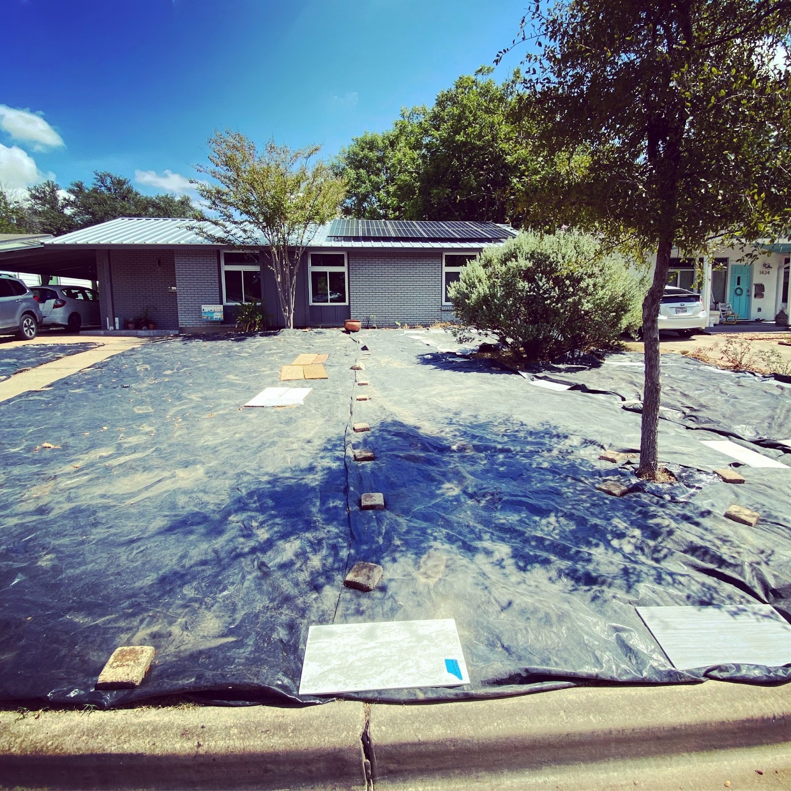 solarizing plastic on a front yard killing grass