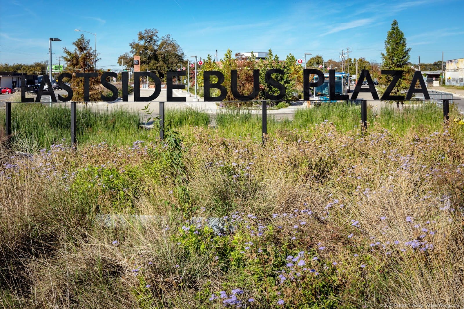 CARTS is a combined bus transfer station with rain gardens and native landscape