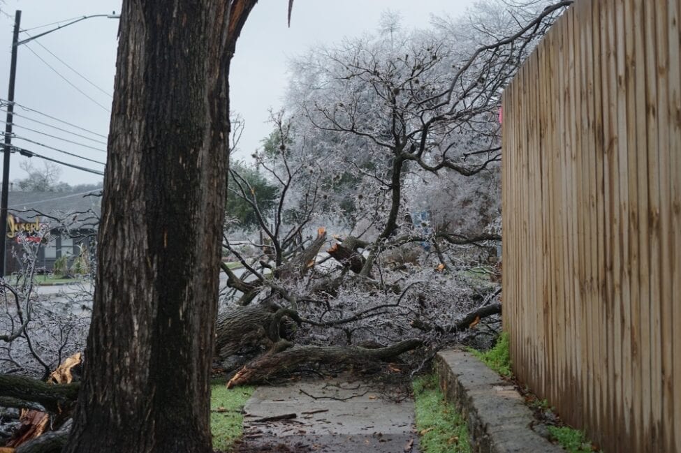 ice storm takes down tree limbs in Austin, TX