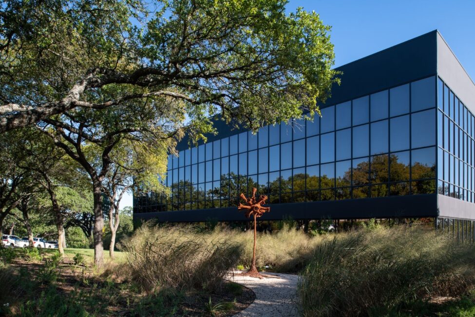 Austin Oaks native grasses