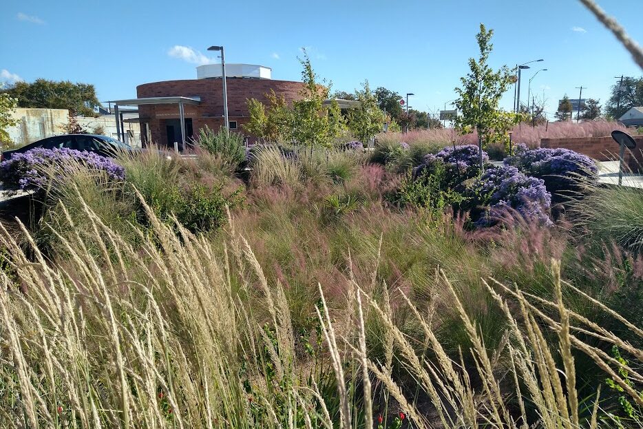 CARTS layered native plants